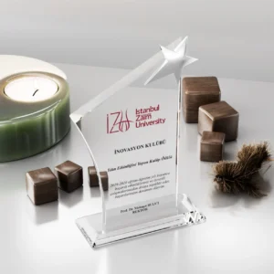 Yıldız Silüetli Kristal Plaket