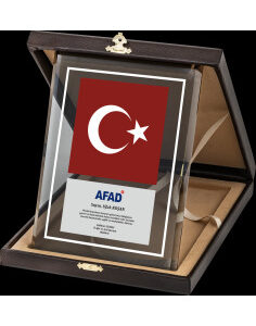 Altın Yaldız Kristal Plaket 2