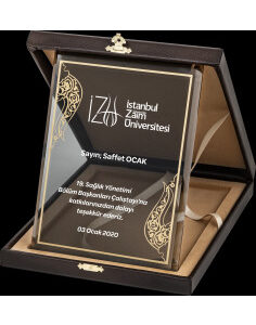Altın Yaldız Kristal Plaket 3