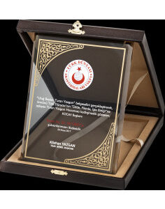 Altın Yaldız Kristal Plaket 6