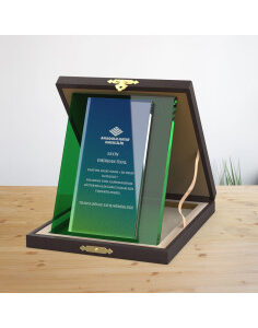 VIP Kristal Plaket 6