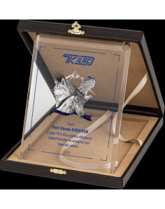 Altın Yaldız Kristal Plaket 7