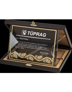 Altın Yaldız Kristal Plaket 11